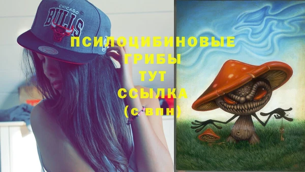 прущая мука Алексин