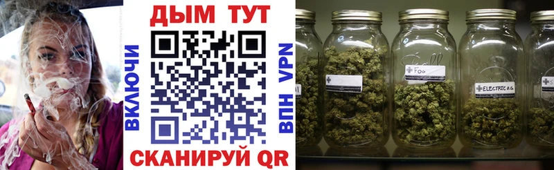 Марихуана план  наркошоп  Апатиты 
